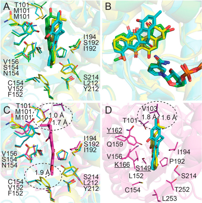 Figure 6