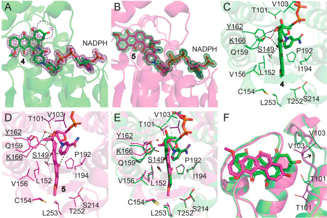 Figure 4