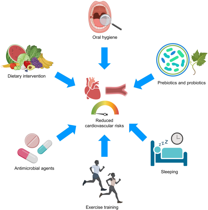 Figure 2: