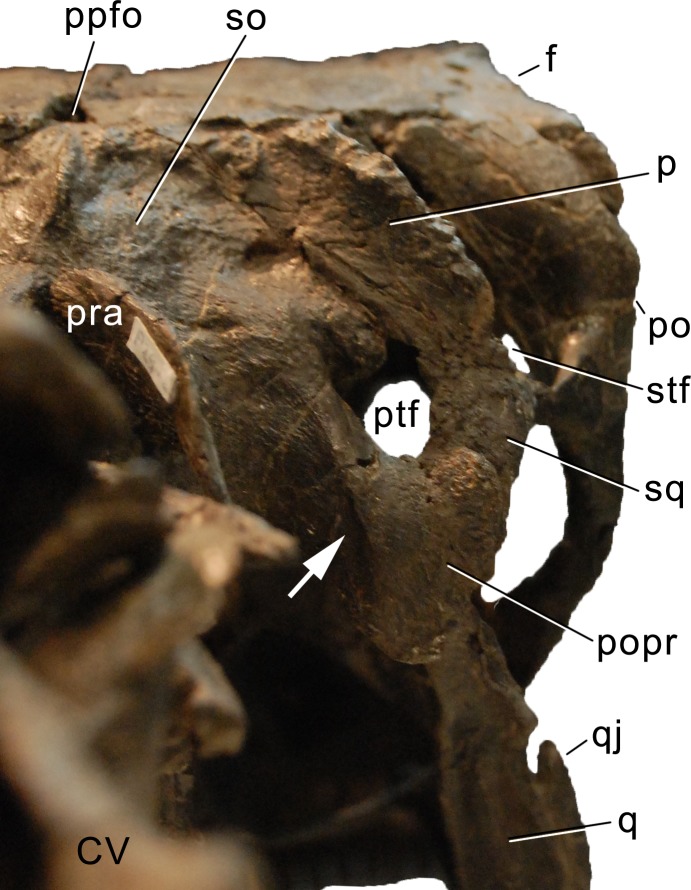 Figure 16