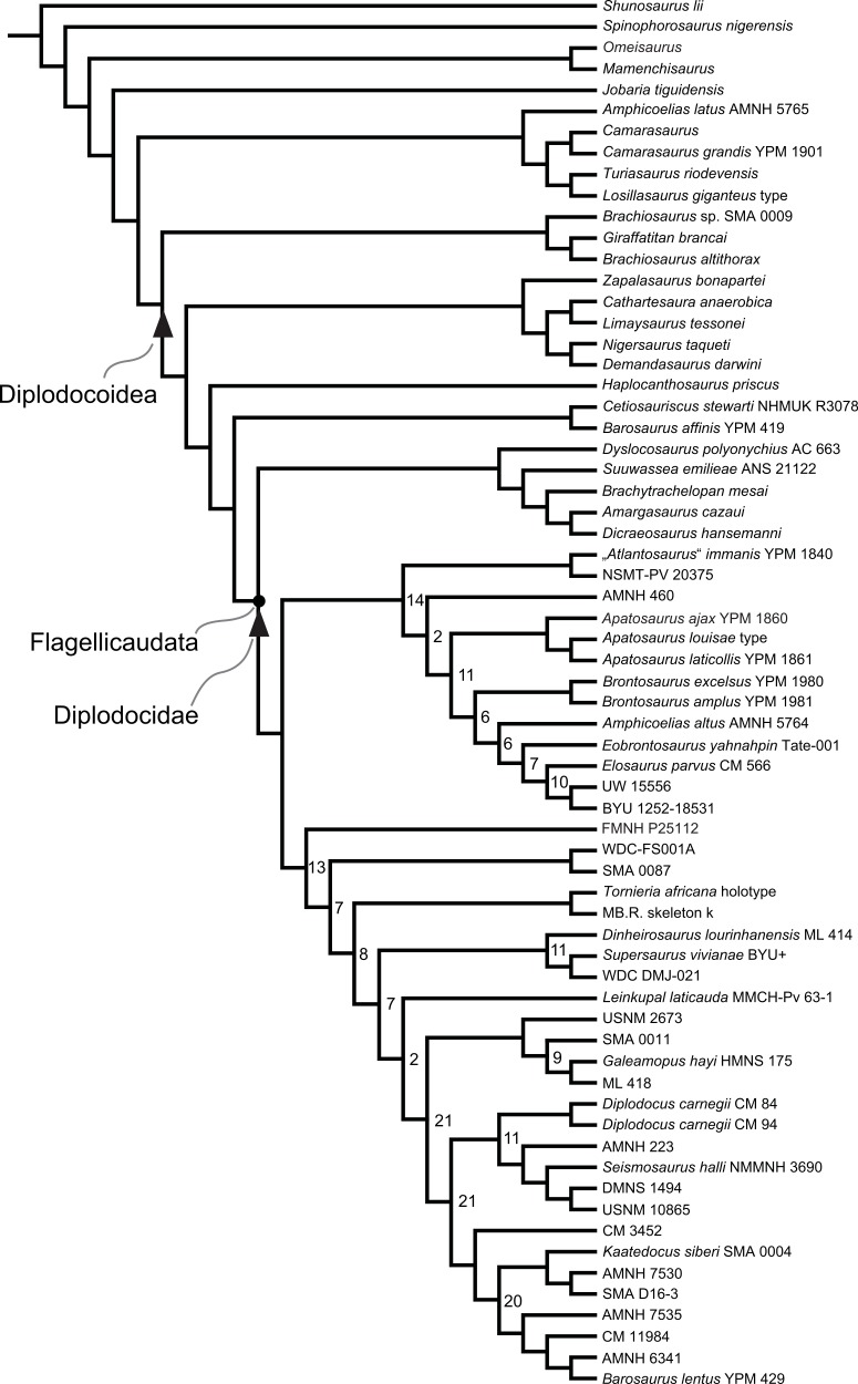 Figure 115