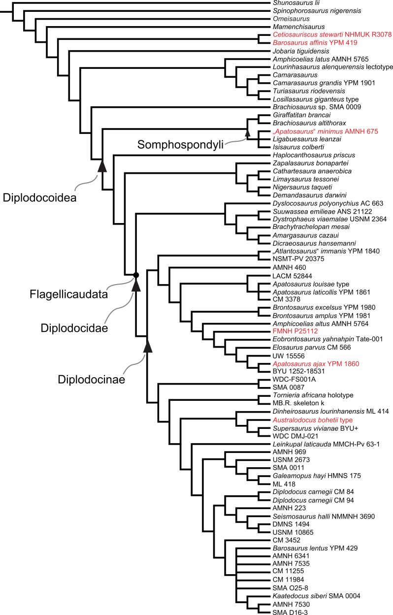 Figure 117