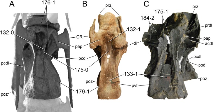 Figure 38