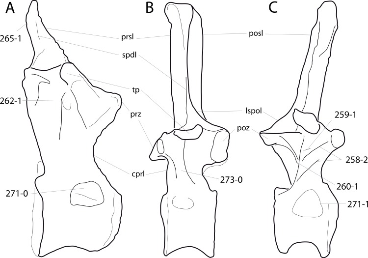 Figure 71