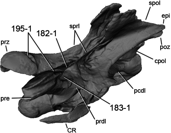 Figure 55