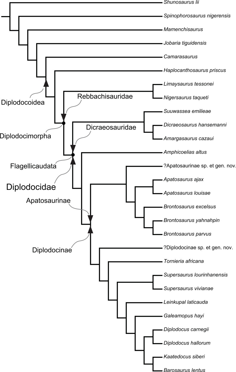 Figure 120