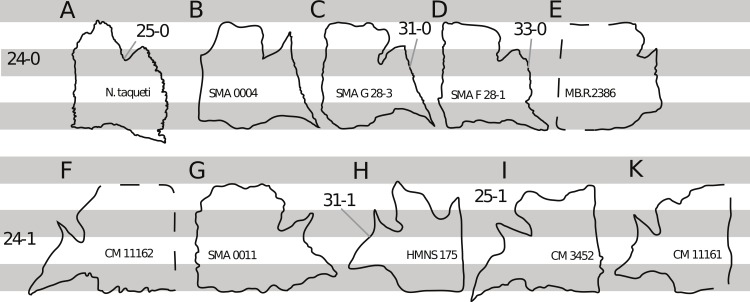 Figure 7