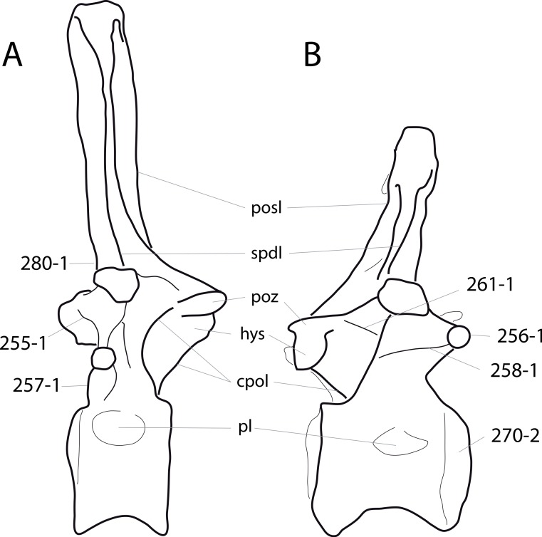 Figure 70