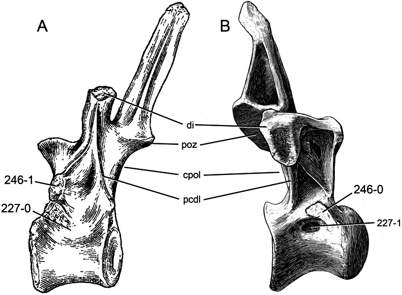 Figure 62