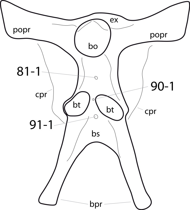 Figure 23