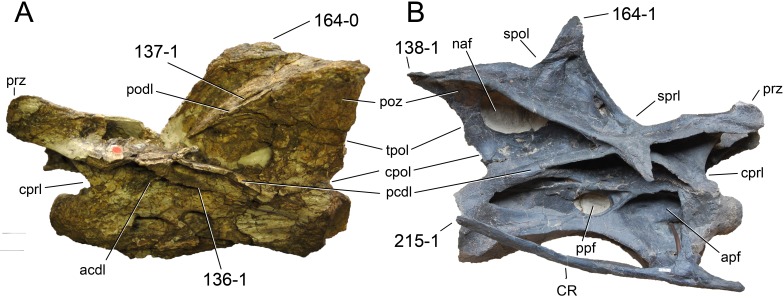 Figure 41