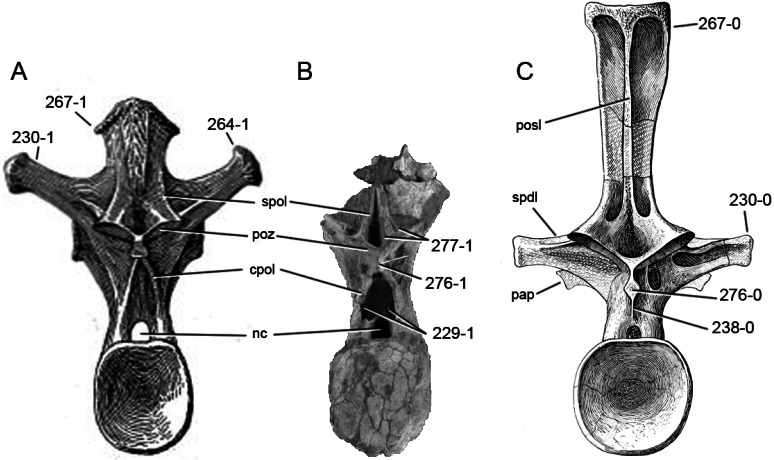 Figure 63