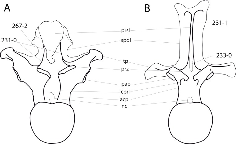 Figure 64