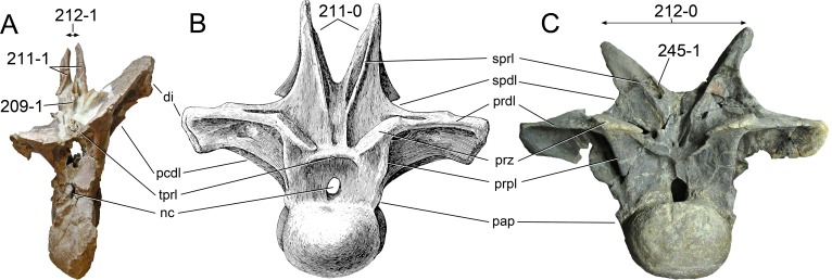 Figure 60