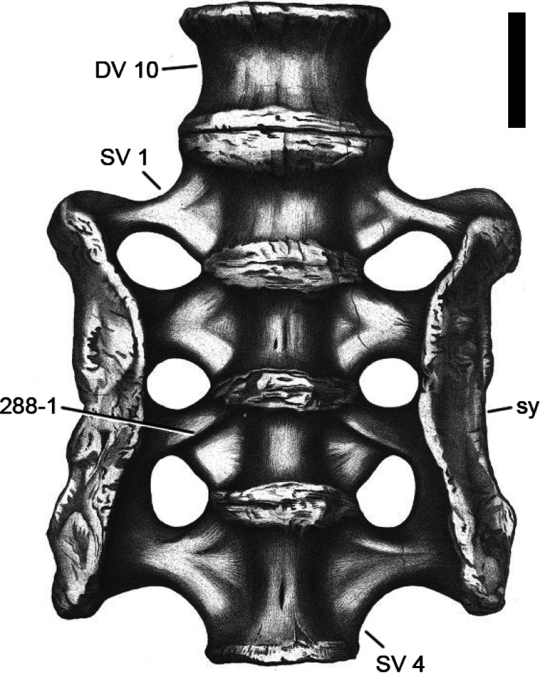 Figure 74