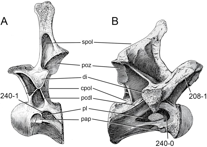 Figure 59