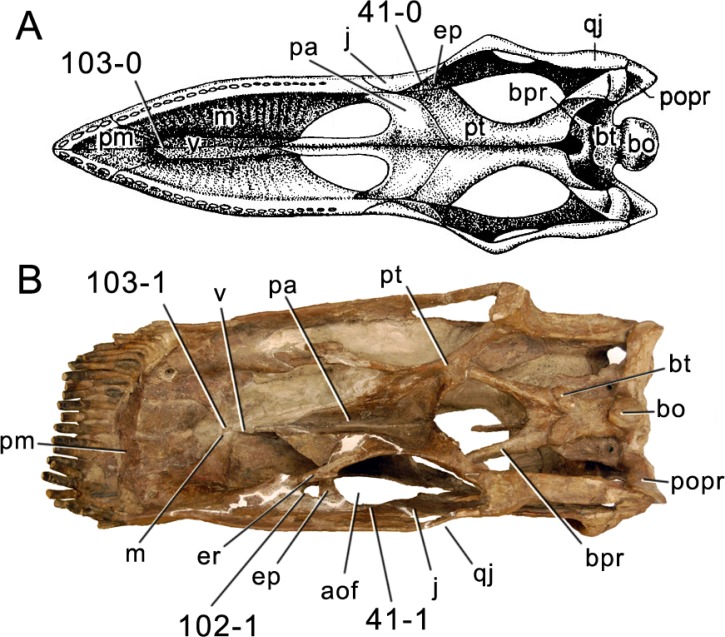 Figure 9