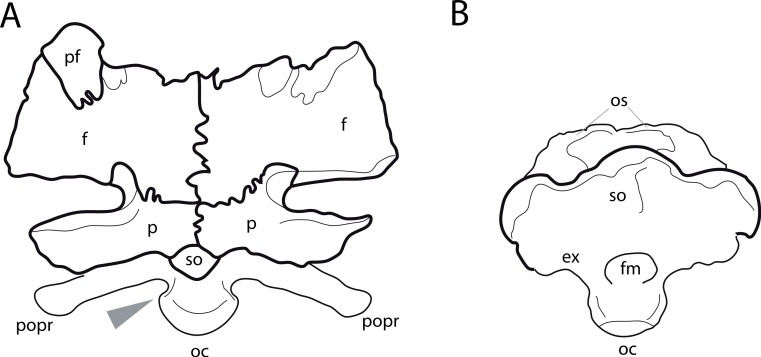 Figure 21