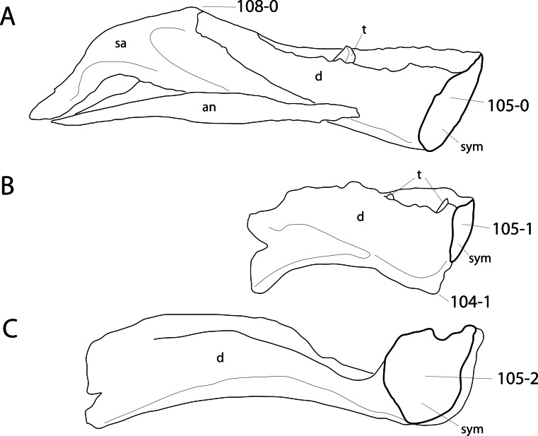 Figure 30