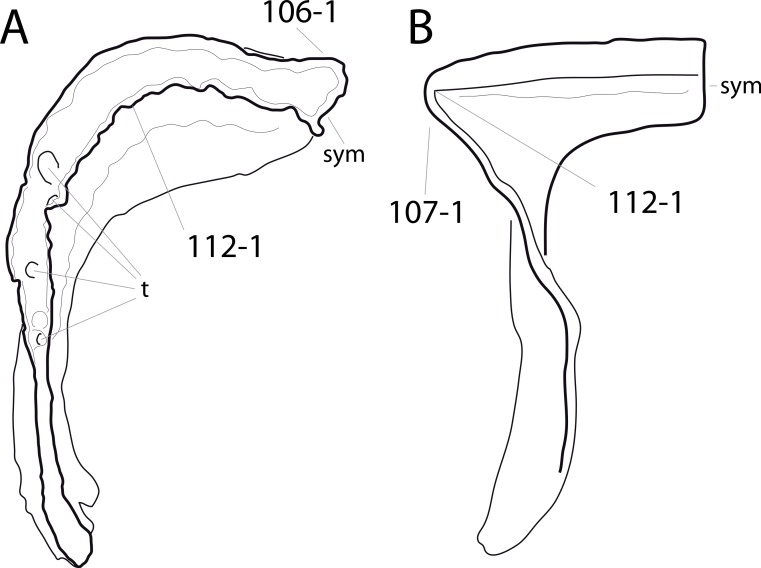 Figure 31