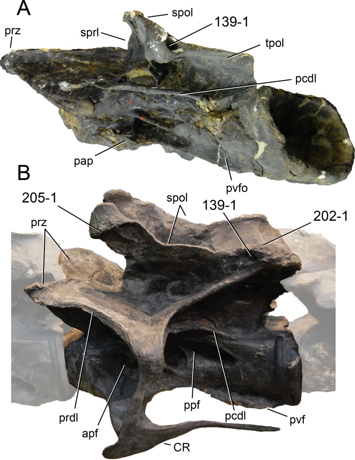 Figure 42