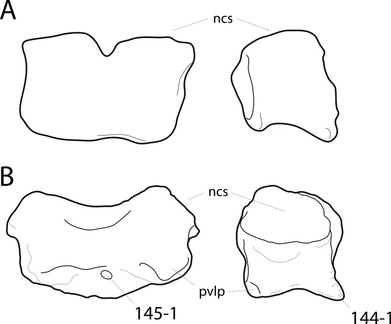 Figure 45