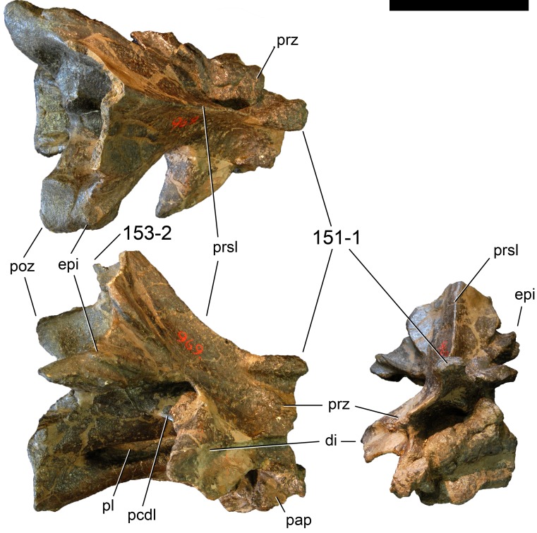 Figure 48