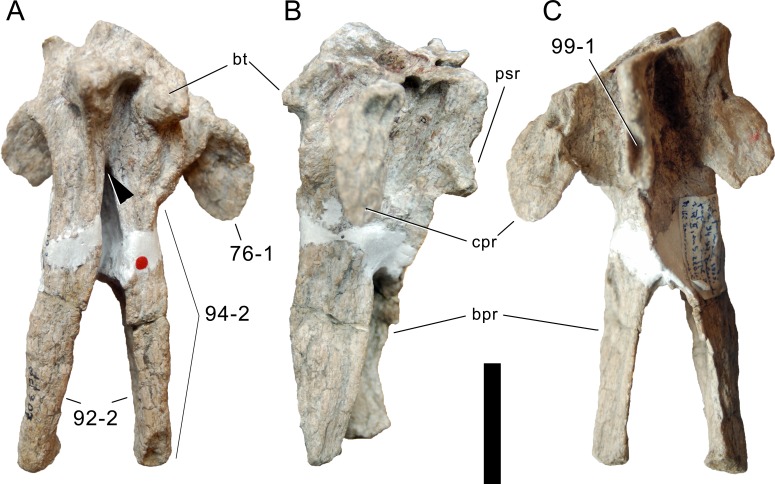 Figure 20