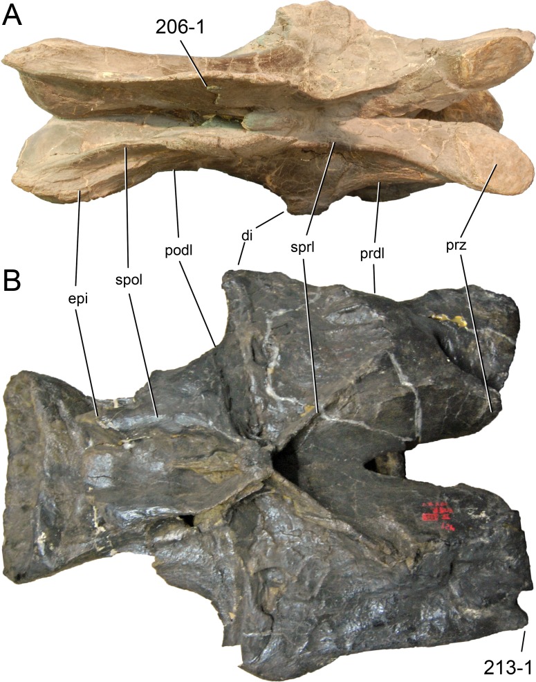 Figure 58