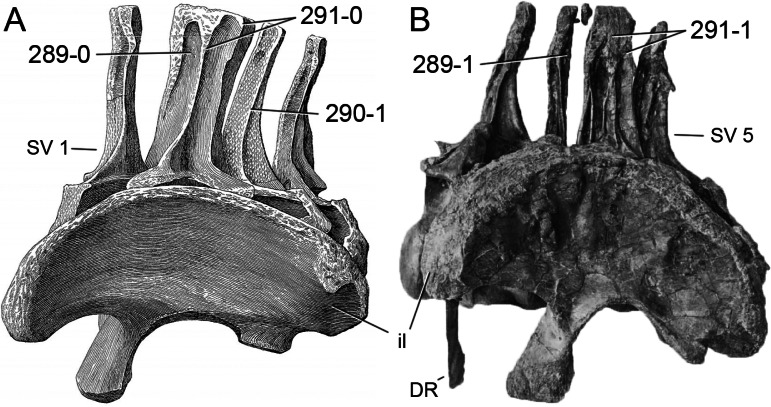 Figure 75