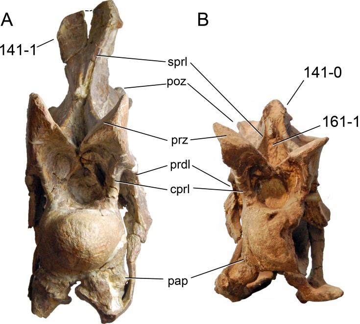 Figure 43