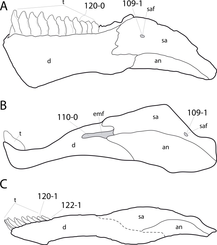 Figure 32