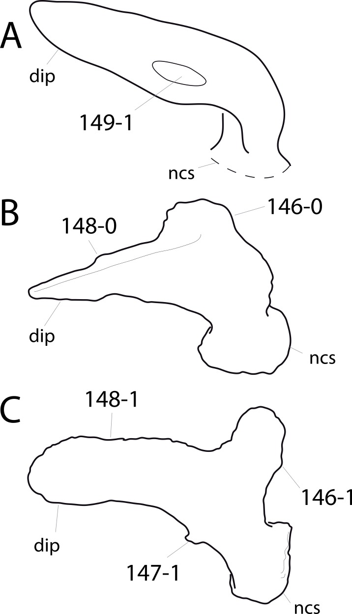 Figure 46