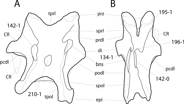 Figure 39