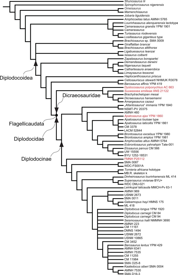 Figure 114