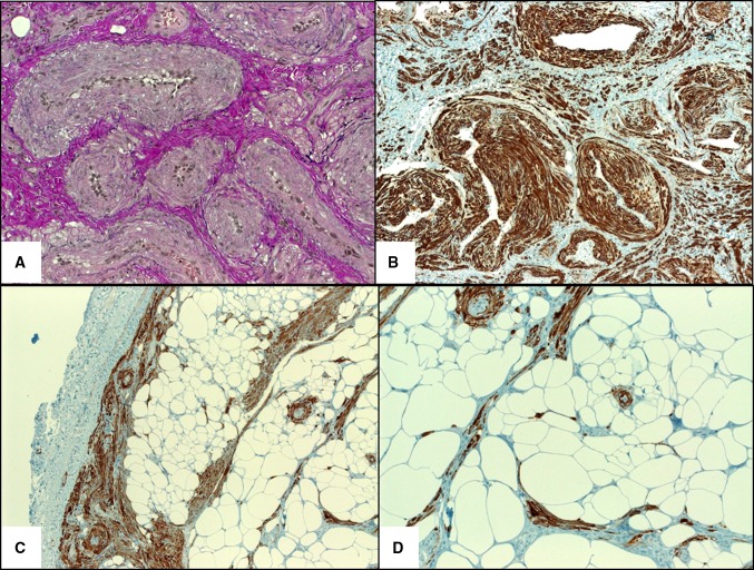 Fig. 3