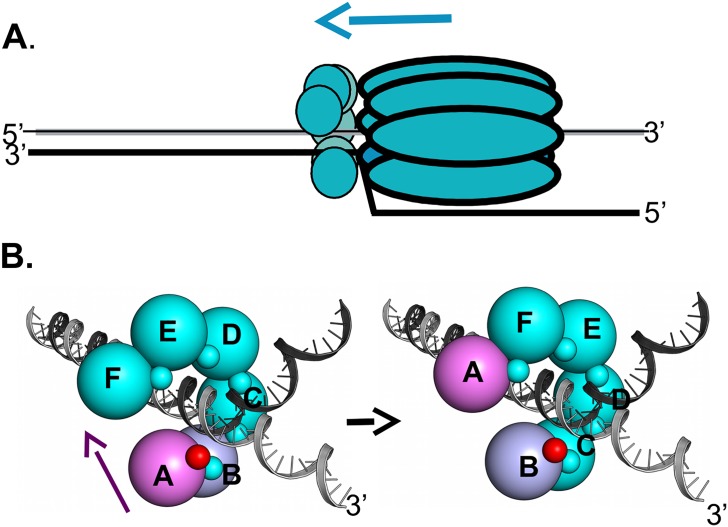 Fig 11