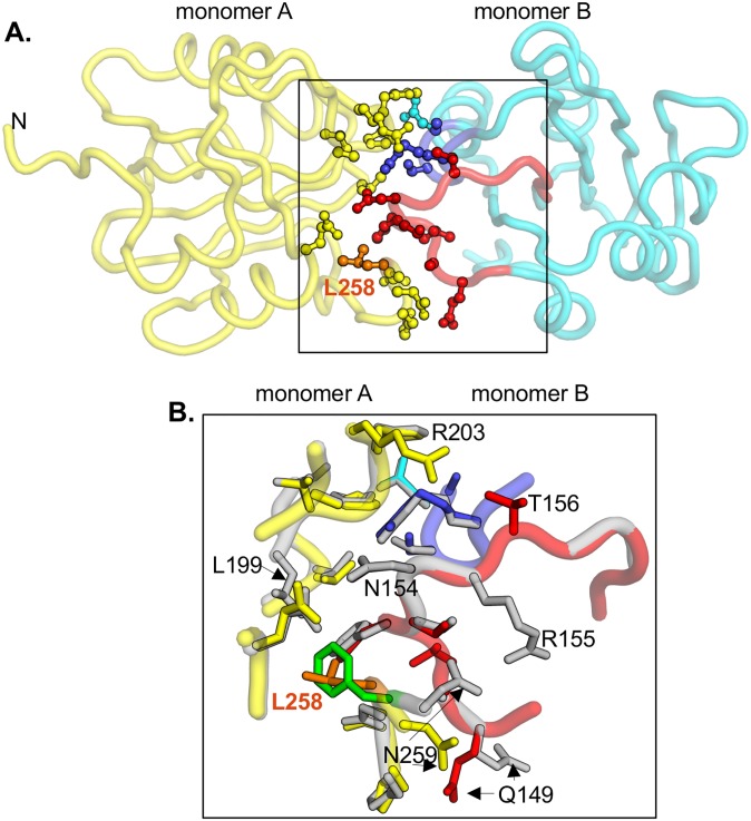 Fig 7