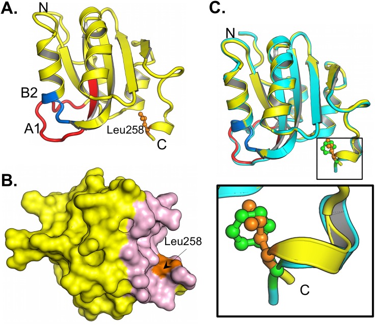 Fig 4