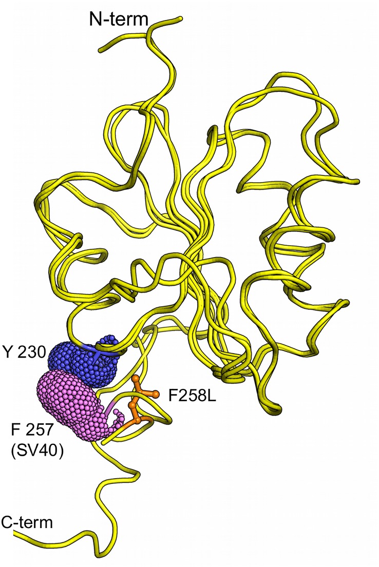 Fig 10