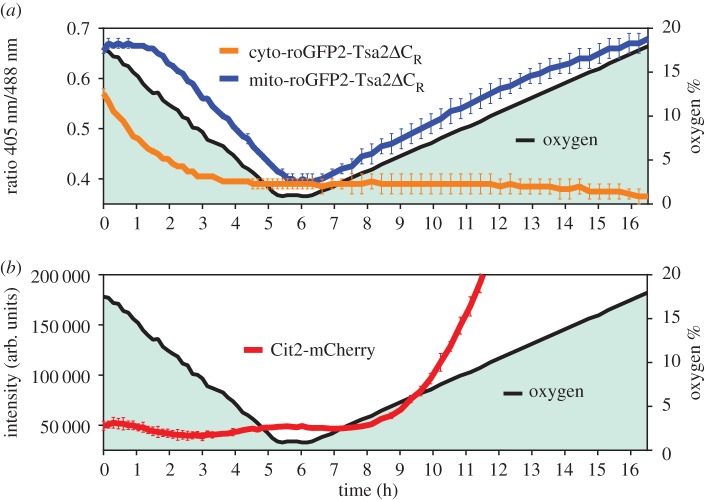 Figure 2.