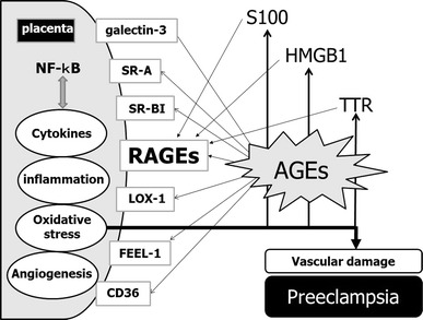 Fig. 2