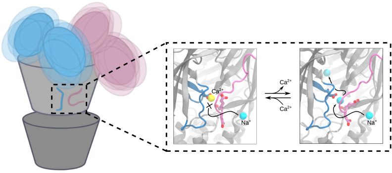 Fig. 6.