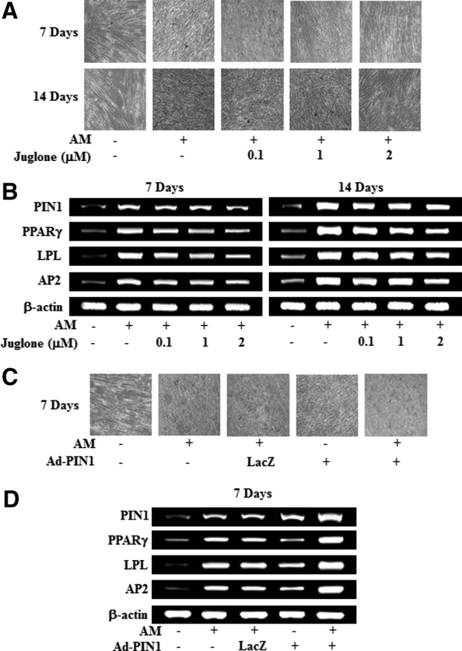 FIG. 5.