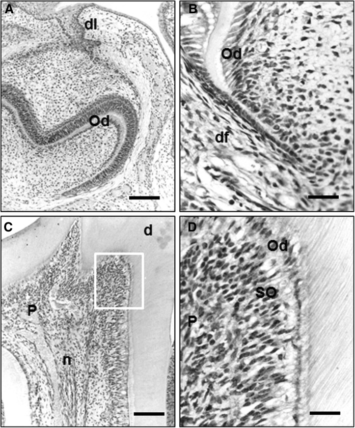 FIG. 12.