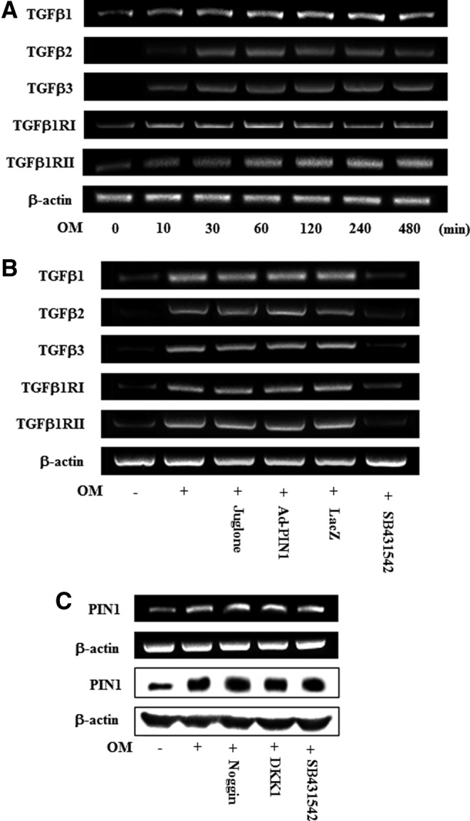 FIG. 8.