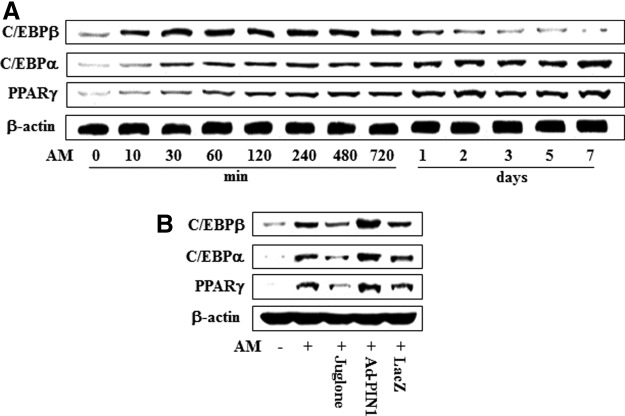 FIG. 10.