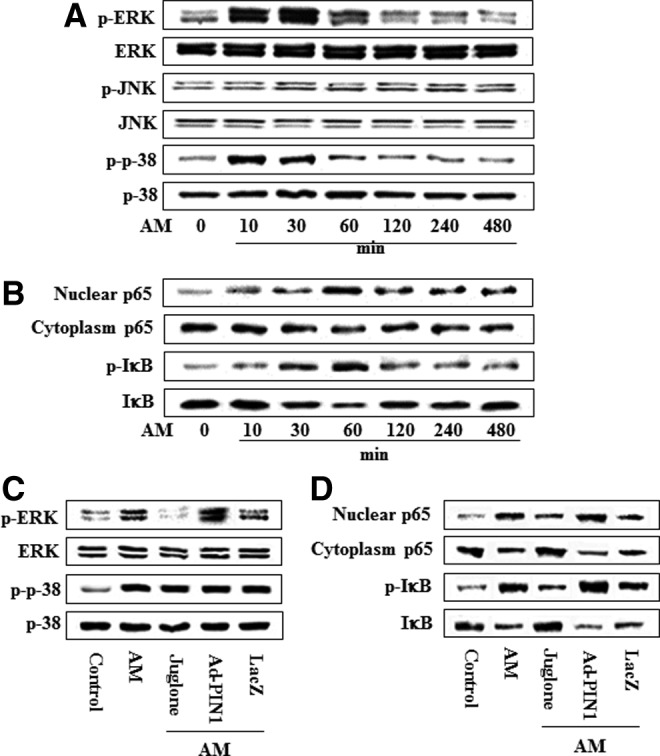 FIG. 11.