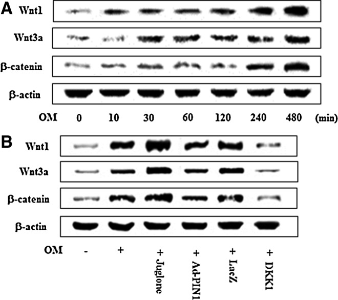 FIG. 7.