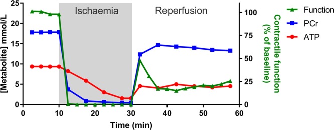 Figure 2.